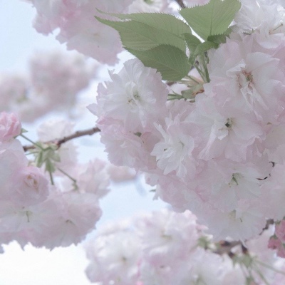 Furry绘画光影解析兽圈社群